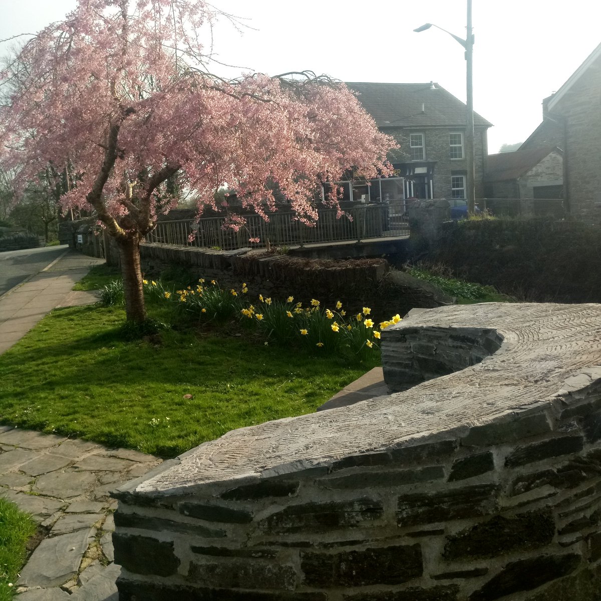 Dragons co-op (@dragons_cymru) on Twitter photo 