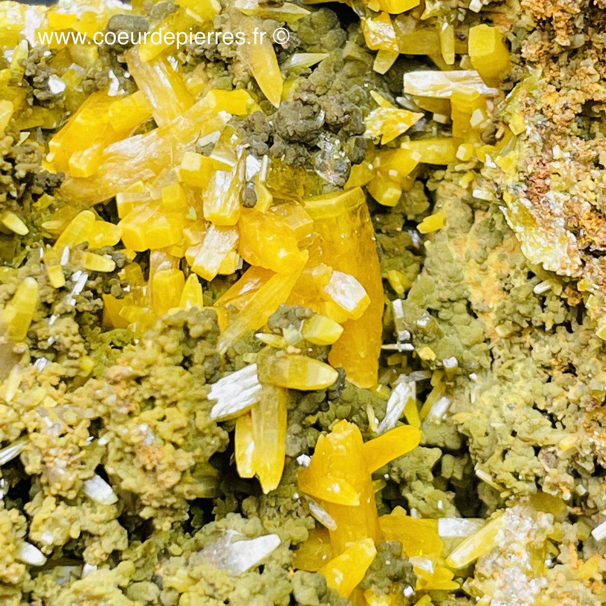 CoeurPierres's tweet photo. Wulfenite et mimetite du Mexique 🇲🇽 Disponible parmi d’autres pièce du même gisement sur https://t.co/jCzV6mtBVv 👈 #Collectibles #cristaux #geologie #geology #gisement #lithoterapie #cristal #mine #minerals #mineraux https://t.co/aFdiBDalBv