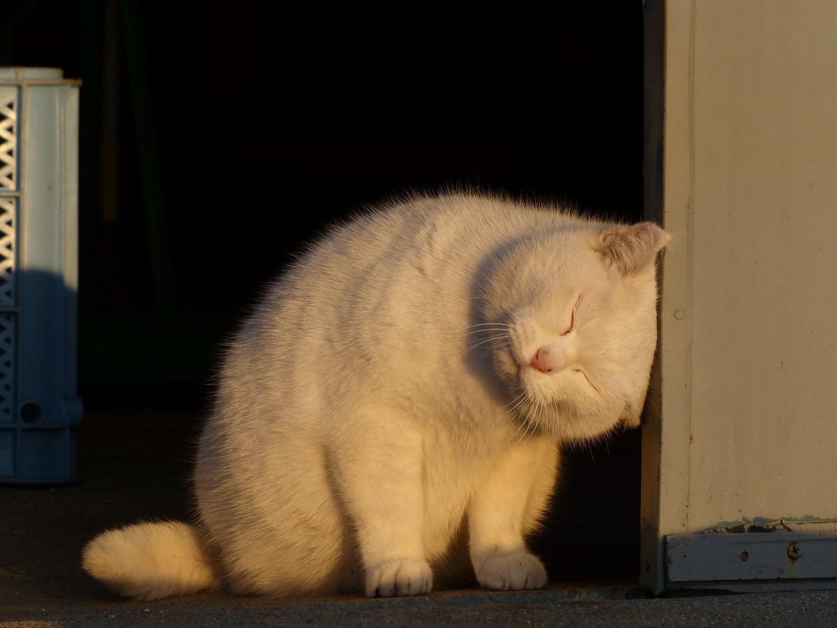 รูปติดกันพอดี5555