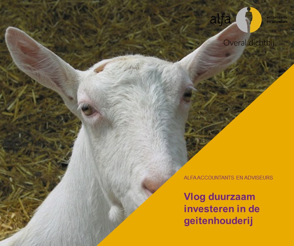 <a href="/Overbeekhenk/">henk overbeek</a> gaat in zijn 3e geitenvlog in op duurzaam investeren in de geitenhouderij #alfaaccountants #duurzaam #geitenhouderij alfa.nl/barneveld/actu…