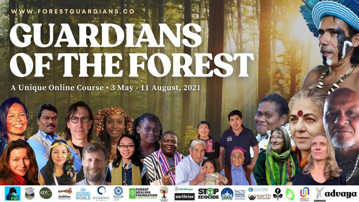 advaya_co's tweet photo. Learn about traditional forest knowledge for ecological, cultural &amp; spiritual transformation.
40 teachers, 30 nations, 7 bio-regionally focussed modules &amp; 16 weekly sessions. Delivered in English &amp; Spanish.
Register at https://t.co/vHTbsGHecf
-20% with FG20 https://t.co/iC08czhfJz