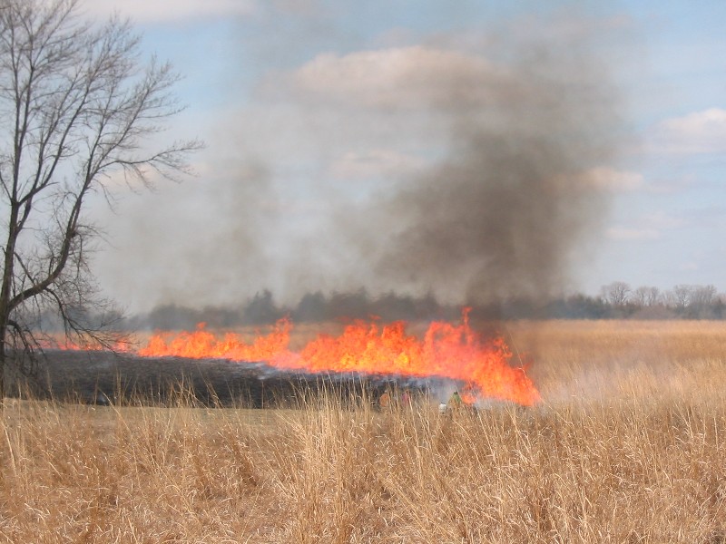 NWS Des Moines tweet media