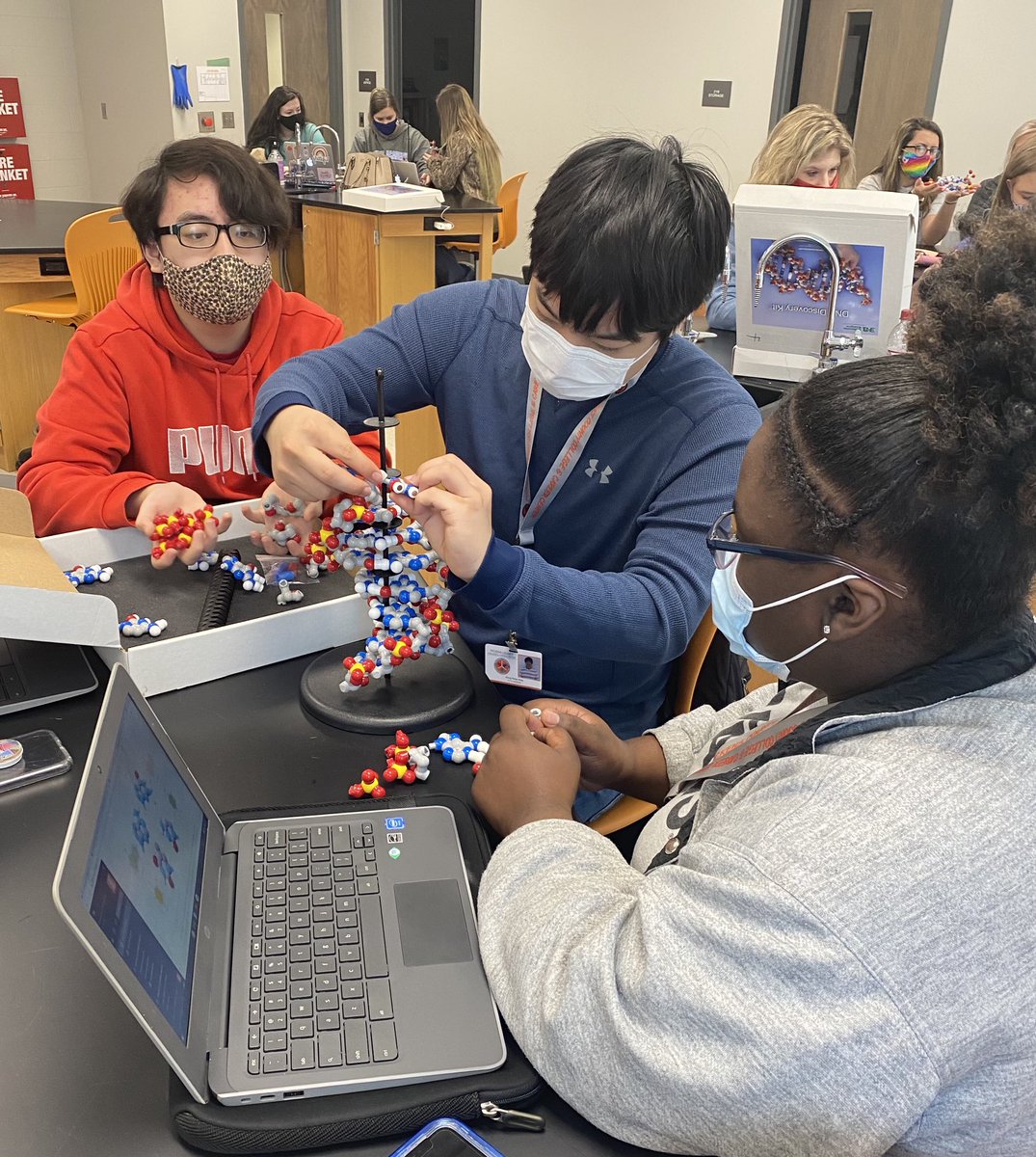 P4C Health Science tweet media