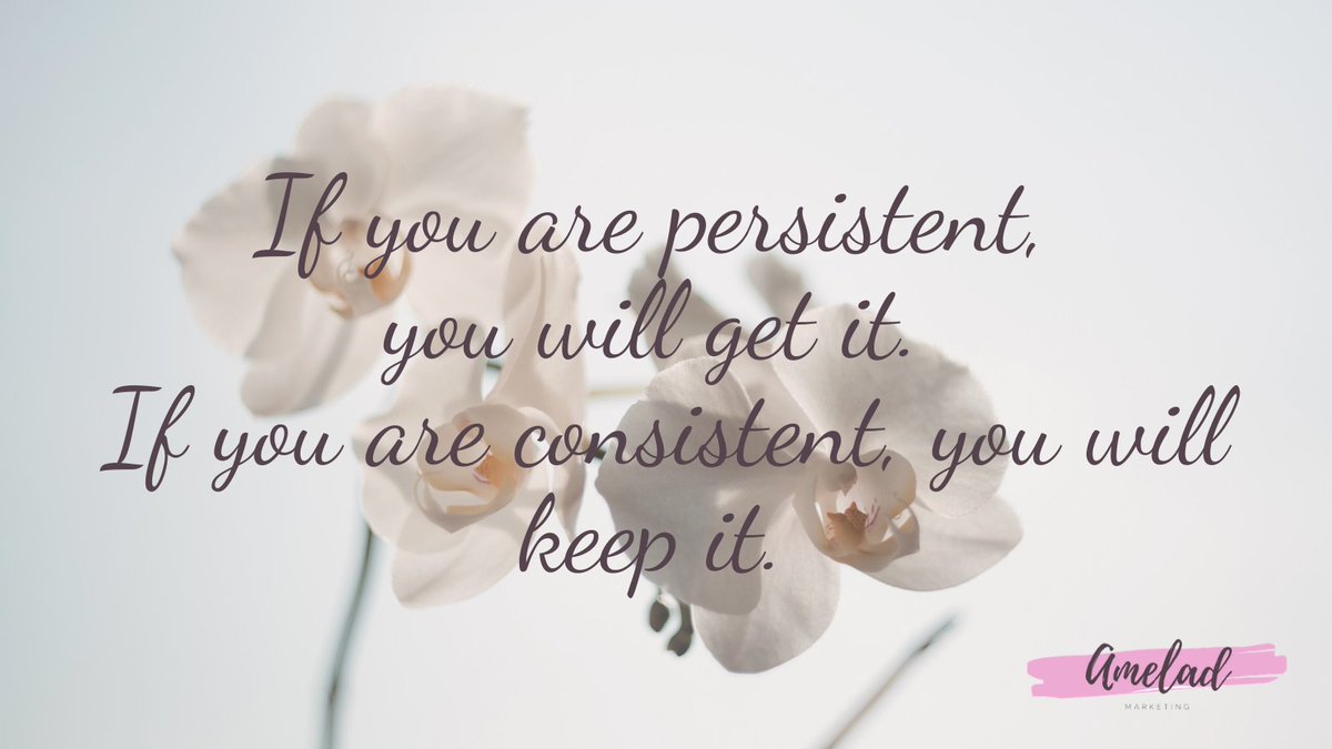 Persistence and consistency: the secret ingredients to a killer content marketing strategy. #ameladmarketing #digitalmarketingtips