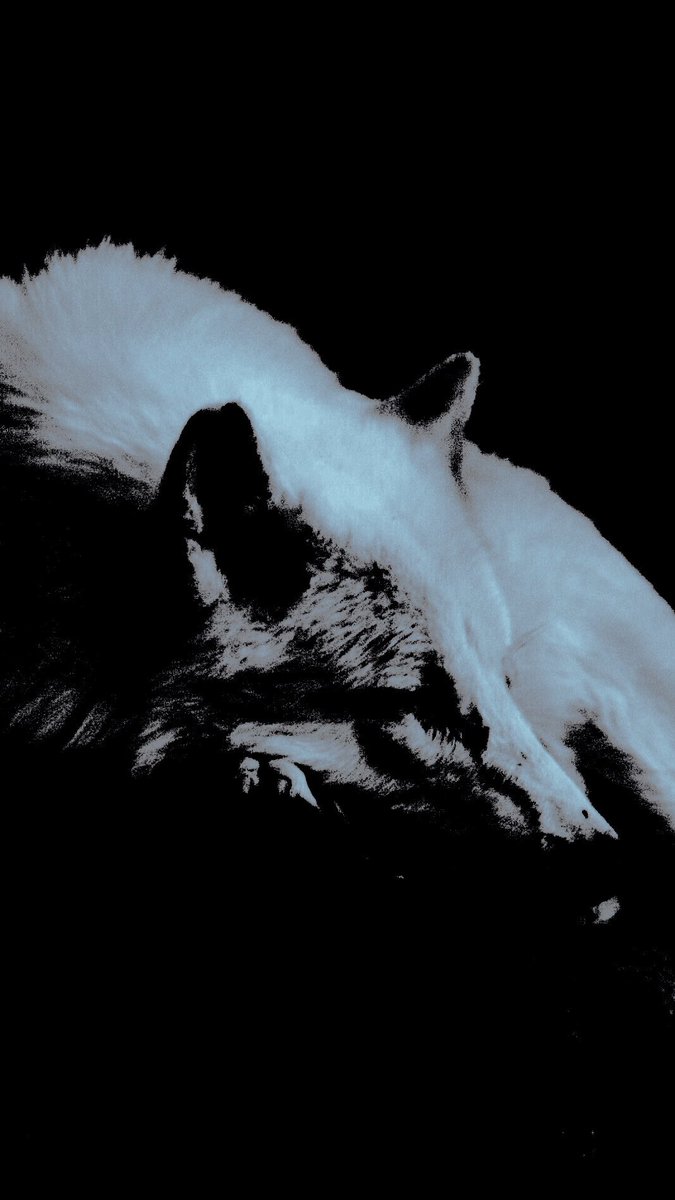 snowjourn's tweet photo. ⠀⠀
          〝 𝐬𝐭𝐞𝐚𝐥𝐢𝐧𝐠 𝐦𝐲 𝐧𝐞𝐢𝐠𝐡𝐛𝐨𝐫’𝐬 𝐜𝐚𝐭. 〞
               𝗌𝖼𝖺𝗇𝖽𝖺𝗅𝗈𝗎𝗌.
               𝖼𝖺𝗇 𝗂 𝗁𝖾𝗅𝗉?

                   𝖺 𝖿𝖺𝗇𝖽𝗈𝗆𝗅𝖾𝗌𝗌 𝗏𝖺𝗆𝗉𝗂𝗋𝖾 𝗈𝖼
                          𝖻𝗒 #𝖼𝗋𝗎𝗂𝗌𝗂𝗇. ↺
⠀⠀⠀⠀⠀⠀ https://t.co/jSKVEllaSs