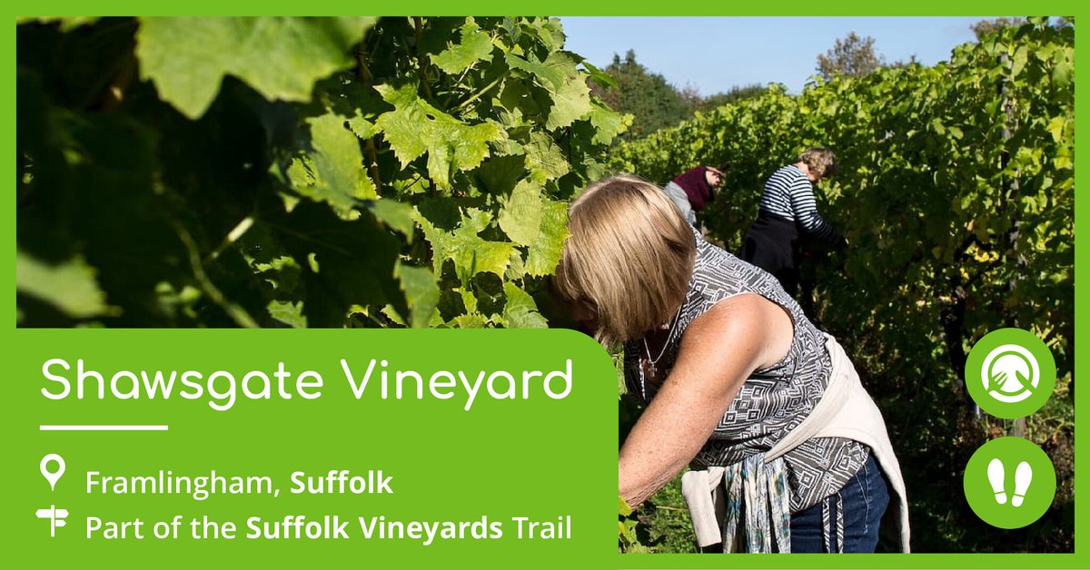Raise your glasses to Shawsgate Vineyard who join us on our NEW! #Suffolk Vineyards trail! 🍇🍷
👉 thetouristtrail.org/business/suffo…

"One of East Anglia’s oldest commercial vineyards, producing a range of White, Red and Rosé still wines as well as Sparkling wines." #SuffolkHour