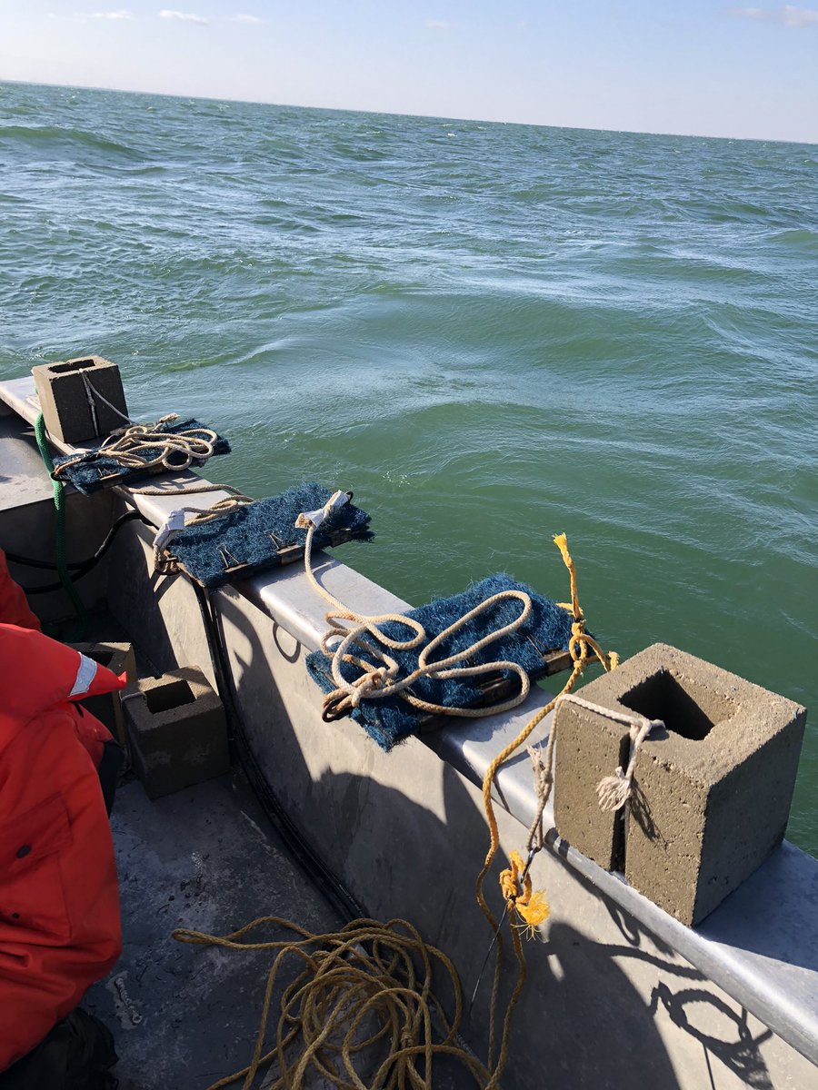 skoenigb's tweet photo. Egg mats are set! First trip to #Coreyon this spring, and it’s nice to be back on the water (just trust me there’s a great reef under the surface). https://t.co/A4F7Q5PPKy