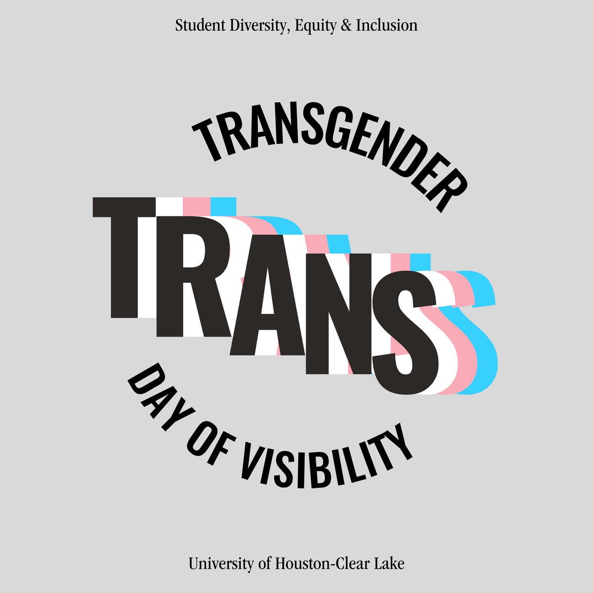 UHCLSDEI's tweet photo. 🏳️⚧️March 31st is Trans Day of Visibility, a time to celebrate, uplift, and honor the transgender and nonbinary community.
This year we are highlighting some of the ways cisgender allies can step up for and with the community. Swipe for more info & share to help raise awareness. https://t.co/hzMvNxVIn5