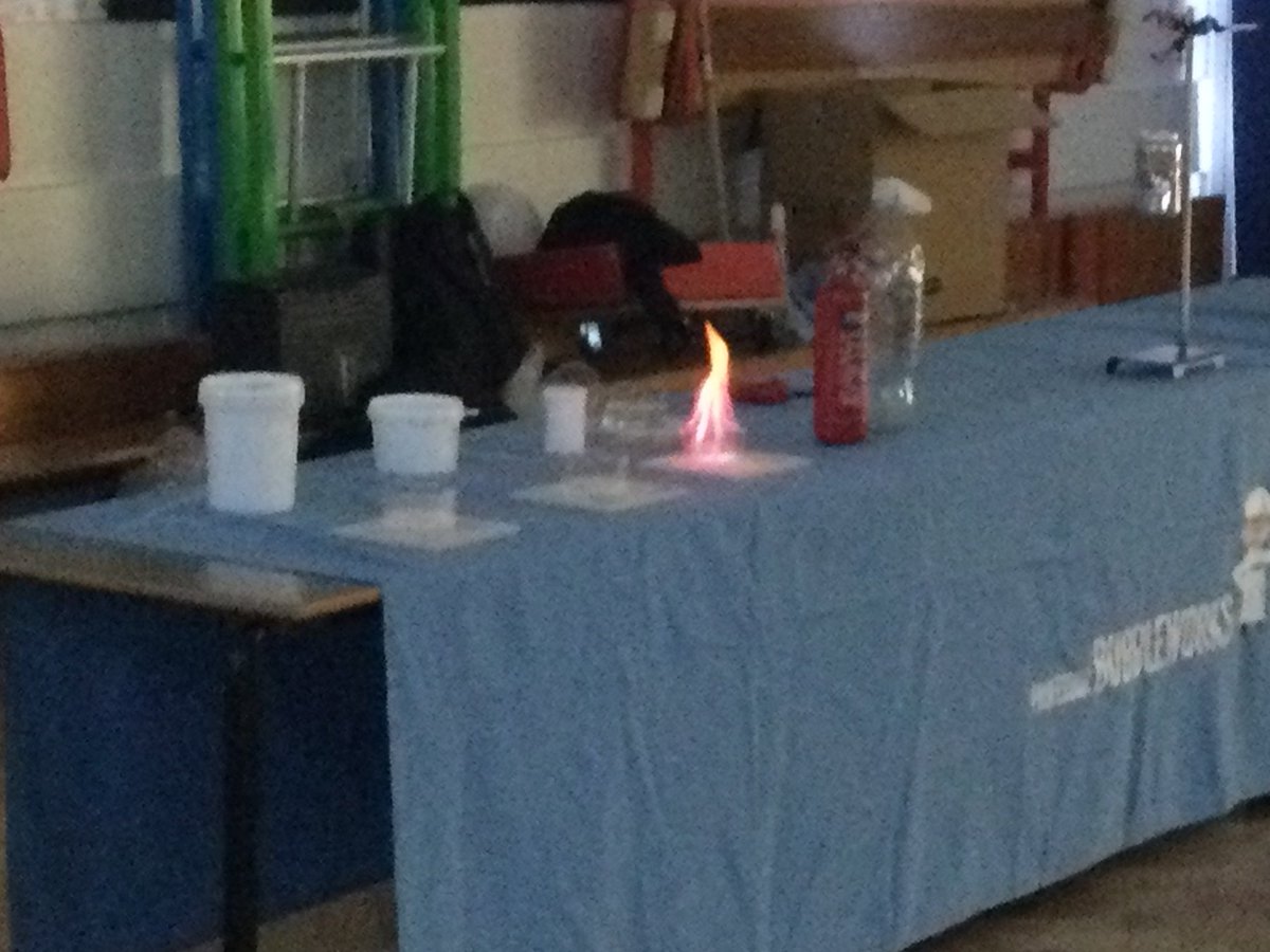 BirchwoodPrim tweet picture