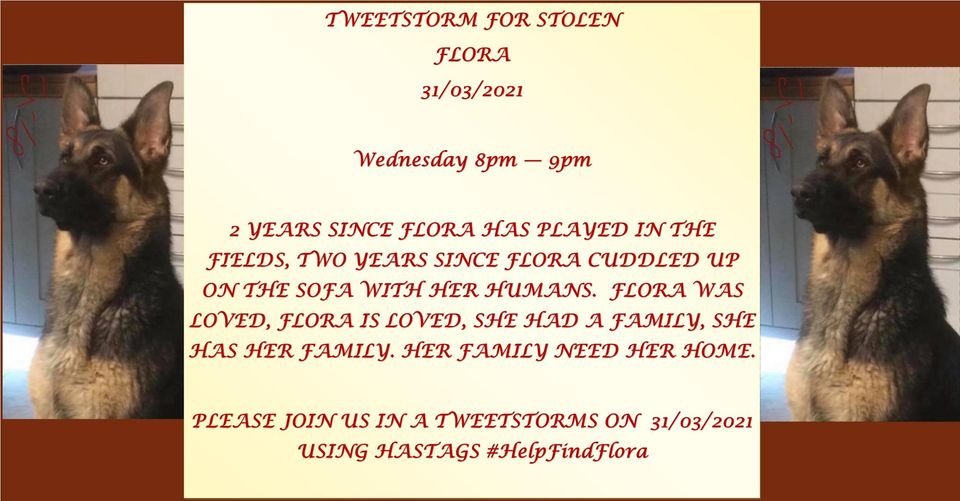AlanDaffern's tweet photo. #HelpFindFlora https://t.co/xUKS3cmZ9G