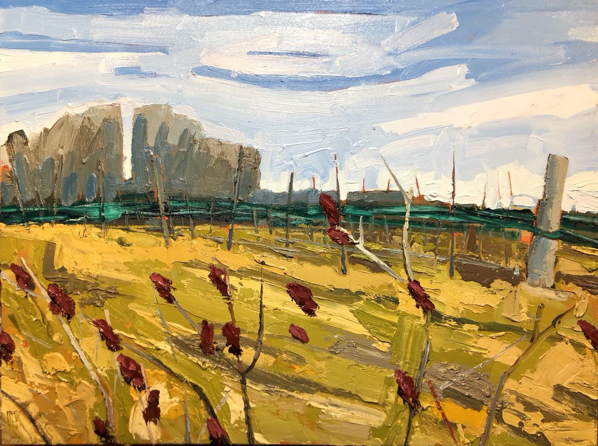 stewjones's tweet photo. SUMACS_COUNTY VINEYARD 30”x40” oil on canvas #AVAILABLEWORK #INSTUDIO #countyup https://t.co/bqc08SQS8m