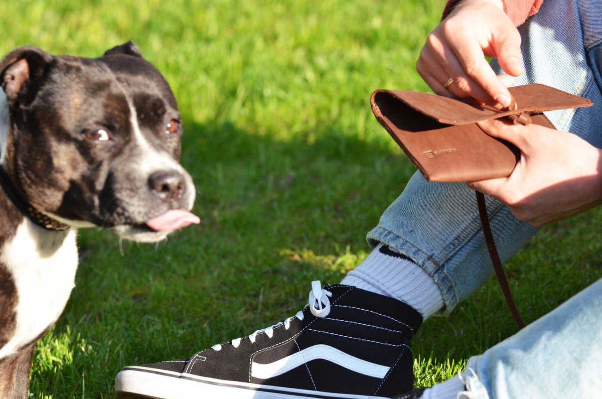 elf_bread's tweet photo. The spring is out, as is the tongue of our dog 😜. Grab your pipe and go outside. If you are new to pipe smoking , check our blog: https://t.co/fj5TMuzXz1

#elfbread #handmade #pipepouch #pipesmoking #leatherpouch #pipe #dogsofinstagram #adventuredogoftheday #dogoftheday https://t.co/zqNblf9JGH