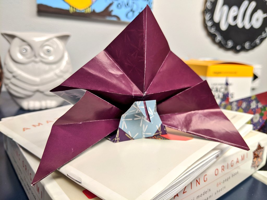 CESD83GATE's tweet image. @MAtkinsonSchool Gifted Enrichment Club met online this morning to create origami peacocks. #atkinsonacademy #cartwrightgate