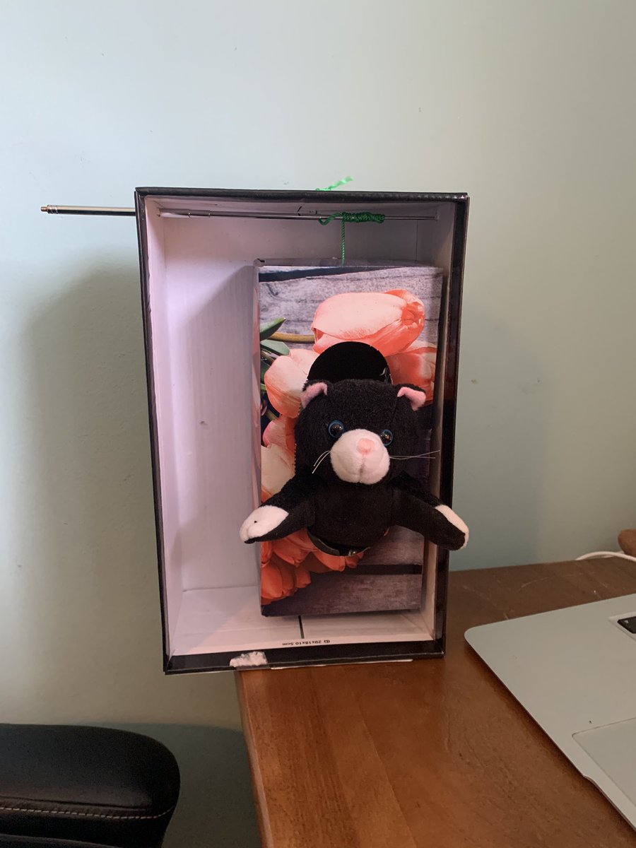 Today my grade 4s created model elevators that can lift their stuffed animals to demonstrate their understanding of pulleys and gears. Incredible scientists and engineers in the making <a href="/VEWhdsb/">Virtual Elementary West</a> <a href="/mlleLalli/">Anna Maria Lalli</a>
