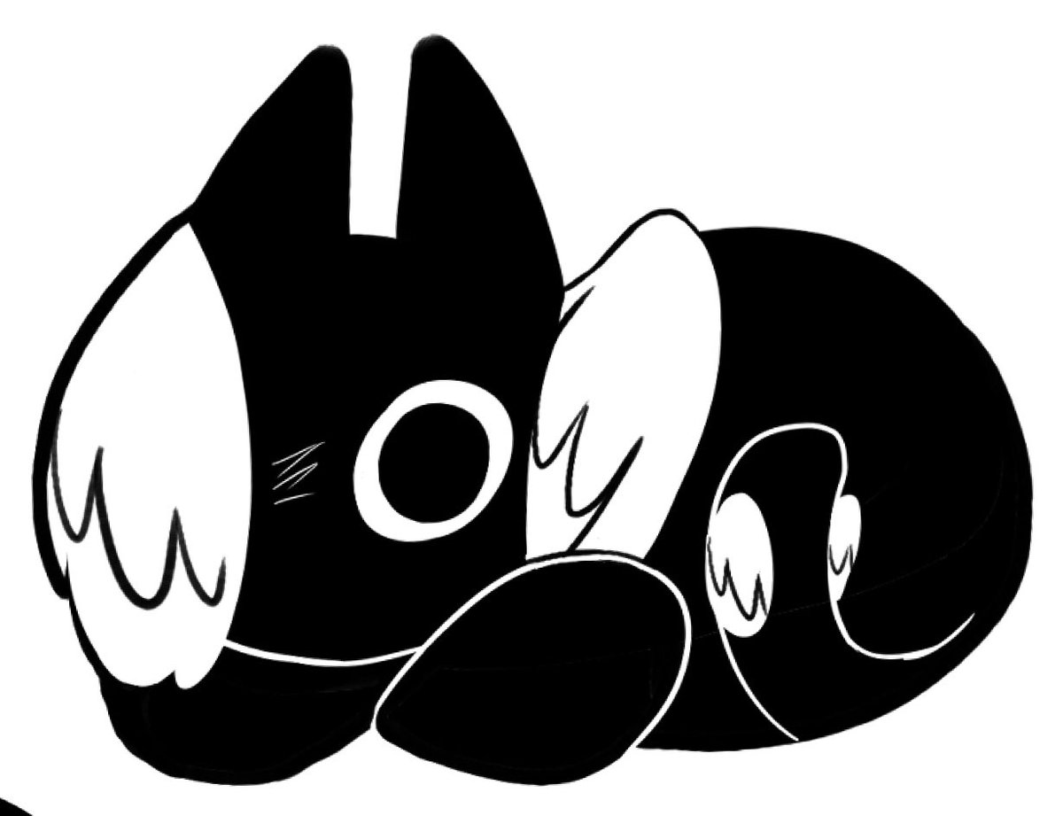 Pres @victim_vink cat (homie) 