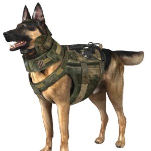 RemasterGhosts's tweet photo. @ThatLazyOtaku__ @GameSpot Counter ratio by cod ghost dog https://t.co/xb2GXsd0JH