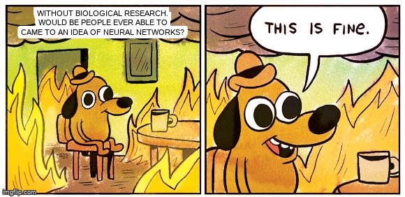 worldbuildingme's tweet image. Without biological research, would be people ever able to came to an idea of neural networks? worldbuilding.stackexchange.com/questions/1998… #scientificdevelopment #biology #computers