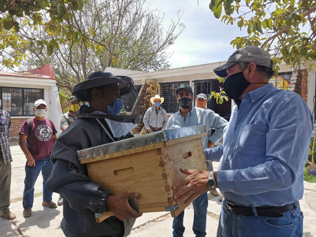 Hector_Alv_Con's tweet photo. El día de hoy les entregamos a nuestros apicultores su equipo de protección y una colmena más para que crezcan su apiario, todo fabricado aquí en #Zapotlanejo por nuestro gran amigo Juan Arana y su familia. https://t.co/cLF96SOVpv