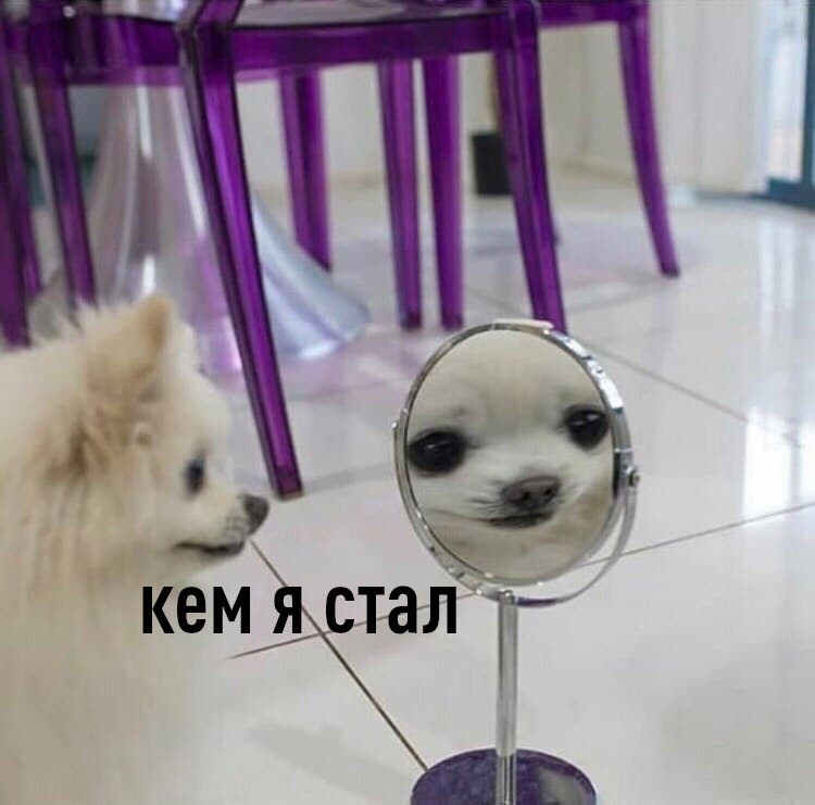 drunktwi's tweet photo. кто-то: не хочешь встретиться, кофейку попить, сходить куда-то?
я: сорян, но много дел на вечер
мои дела на вечер: https://t.co/0FhtWkmBPM