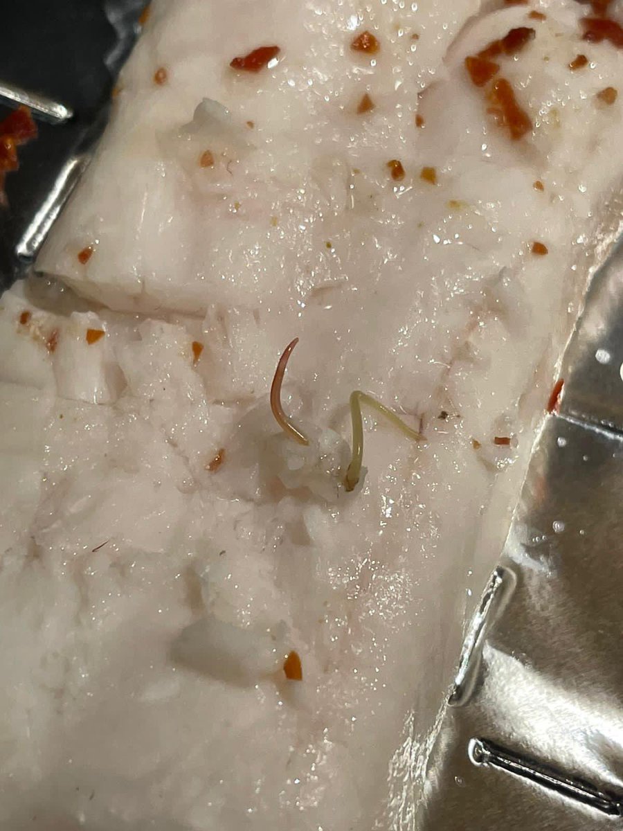 stevetweets44's tweet photo. @RickSteinRest absolutely SHOCKED to discover a WORM!!!! In the Hake provided in the Stein’s at Home meal for 2 this evening. Totally ruined celebration 😢 https://t.co/mJbjbt7yJy