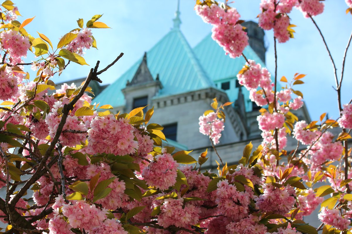 and old one but 'tis the season