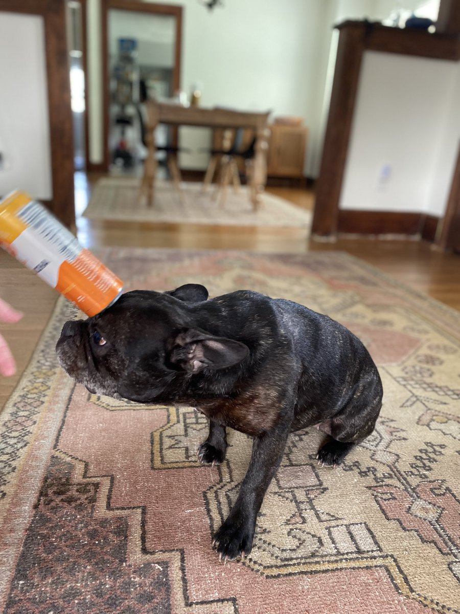 circlebeverage's tweet photo. You can’t always find balance and feel good on the first try...#drinkcircle #kombucha #HumpDayVibes https://t.co/bt0crKBqIB