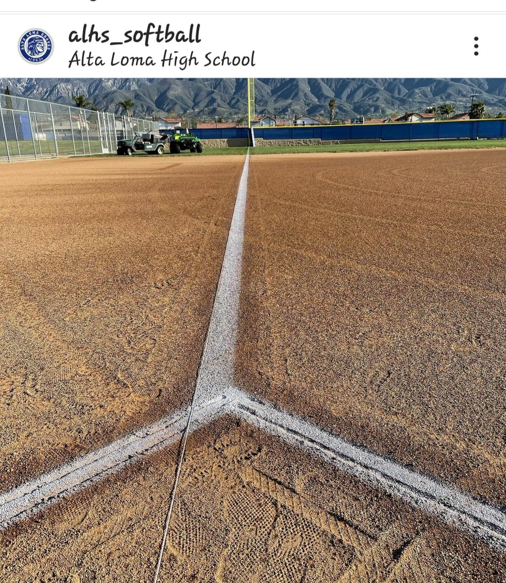 Spring is in the air