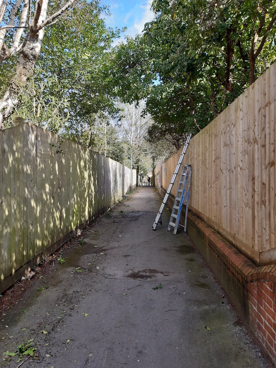 RobRocc's tweet photo. Residents along with @BCPCouncil Cllr @davekelsey6 and myself Cllr Rocca worked together in pruning the trees in the alleyway Milton Rd/Lowther Rd. It is our commitment to deliver a Cleaner, Greener, Safer #community for all.
More to come soon!
#communityspirit #tobeproud https://t.co/KywTjJ8dvp