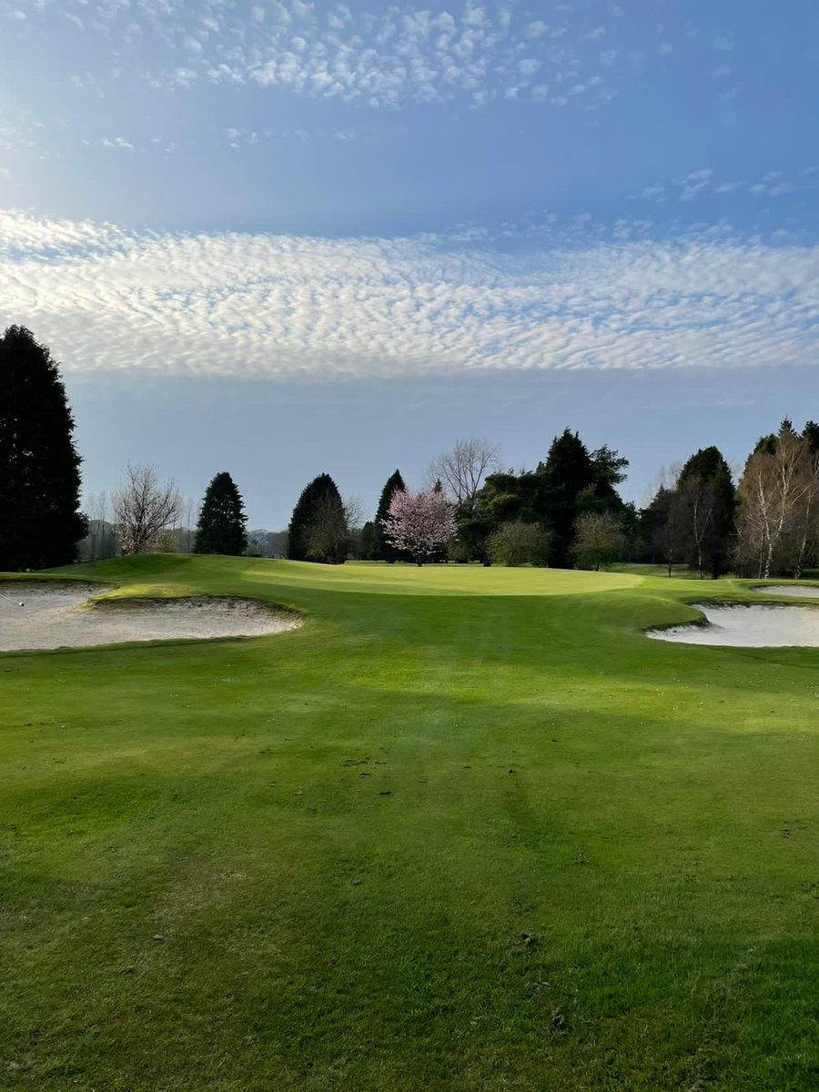Roscreagolf's tweet photo. Photo of a picturesque 8th hole taken on a Lovely Spring Morning! https://t.co/119If5LnHs