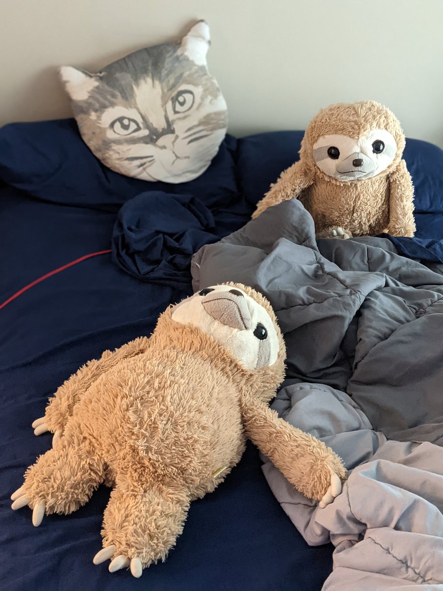 LoveMrSloth's tweet photo. Is it Friday yet? https://t.co/MxvHIqK7ym