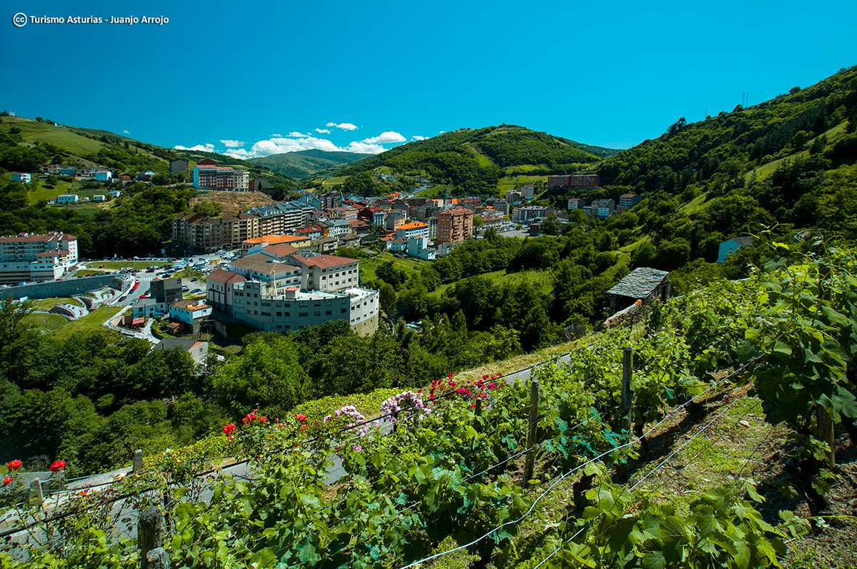 En tierras de los antiguos pésicos y rodeada de verdes montañas se halla la capital asturiana del vino y la pólvora.

Cangas del Narcea, Asturies.

📷: <a href="/TurismoAsturias/">TurismoAsturias</a>
