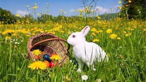 Glencryanschool's tweet photo. Just a reminder that school closes at 2:30pm tomorrow and re-opens on Monday 19th April at 9am. Thank you to everyone for all your support this term. We wish all our young people, families and colleagues a peaceful and safe Easter break🐣 https://t.co/DTWhcQv97n