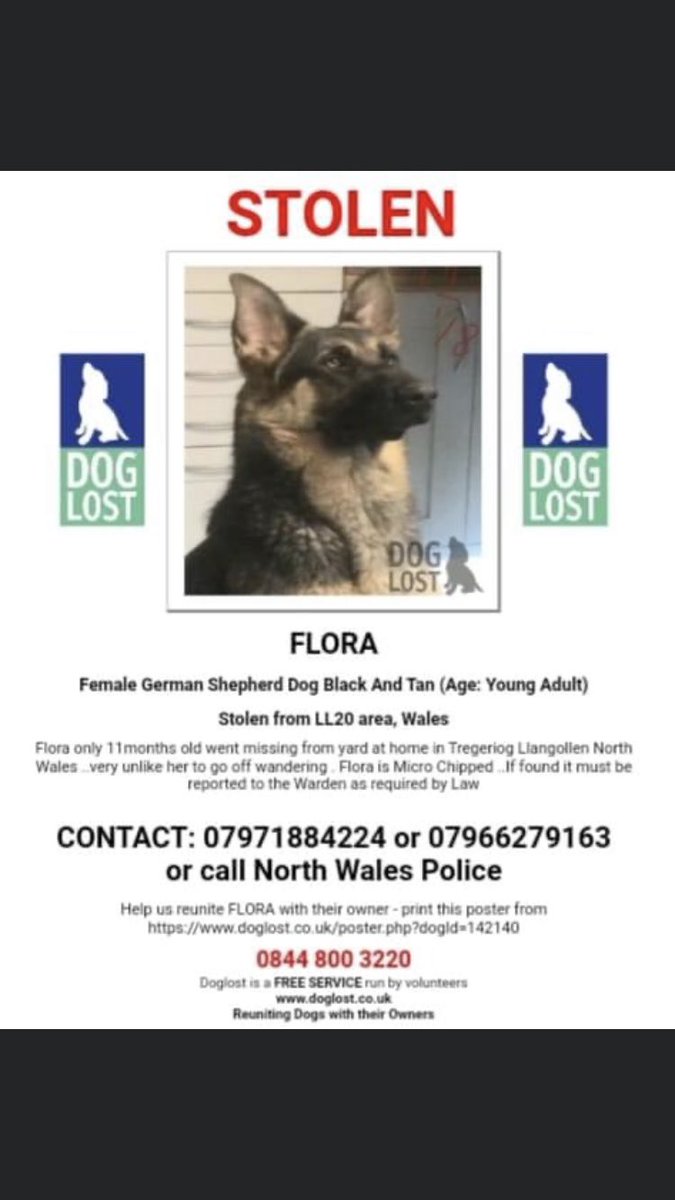 RachaelB100's tweet photo. #HelpFindFlora
#HelpFindFlora
#HelpFindFlora
https://t.co/drckEYBLUO https://t.co/y6JyZqbXUL