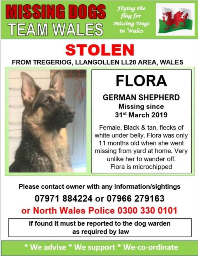 blacklab115's tweet photo. 31st March 2021 8pm-9pm #HelpFindFlora #missing since 2019,please join us & rt. https://t.co/4nMPHo2QuB