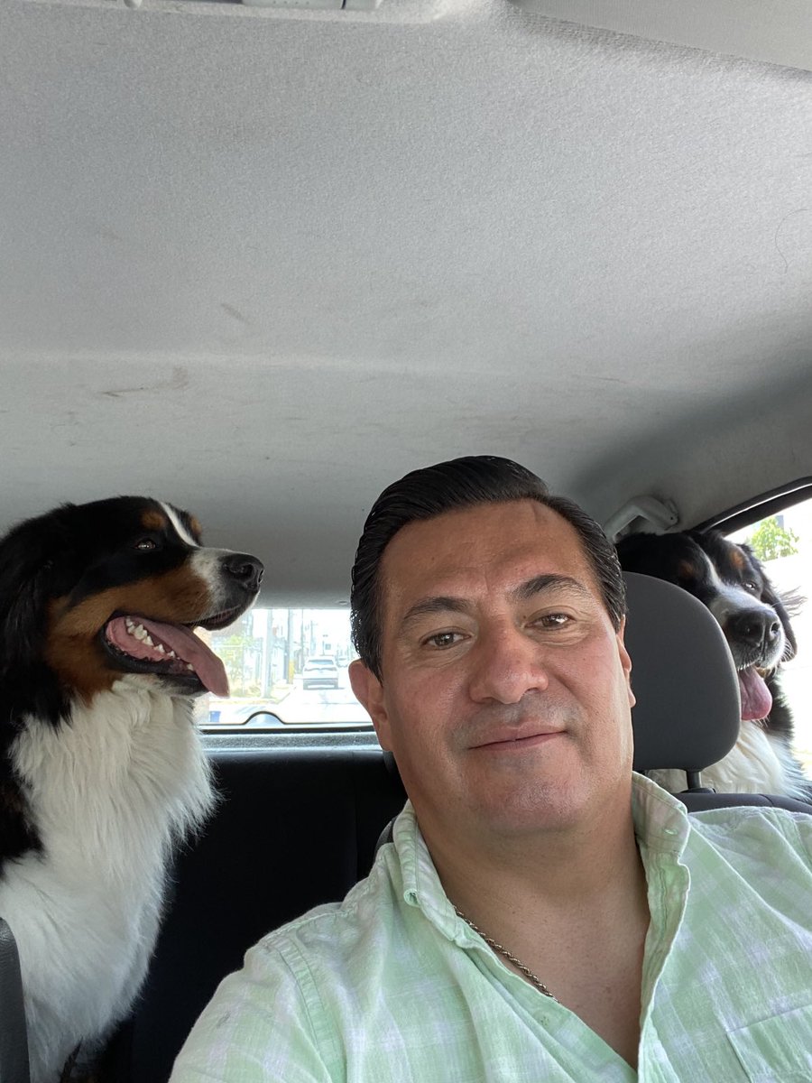 FabioGuerrero_'s tweet photo. Excelente tarde con la Banda Peluda, #Berneses de la Montaña https://t.co/Hhps9mQ41t