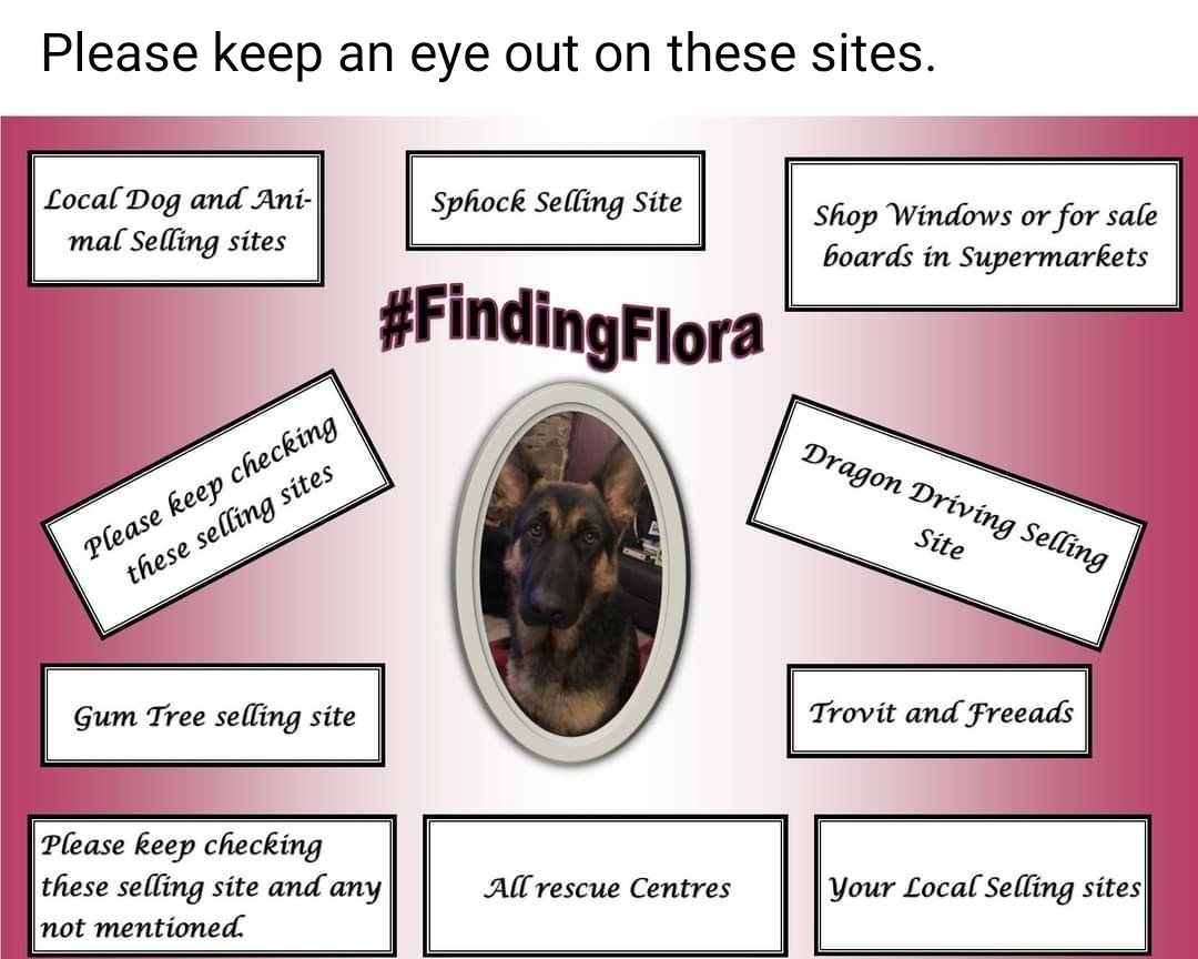 bs2510's tweet photo. #HelpFindFlora #STOLEN
FLORA Female #GermanShepherd Young Adult Black&Tan Microchipped
#Missing 31 Mar 2019 Flora only 11 months old went missing from yard at Home in #Tregeriog #Llangollen #Wrexham #NorthWales LL20
https://t.co/JhhA3Ohg8s
https://t.co/Ijy6aL73DC https://t.co/2g5iVpXA13