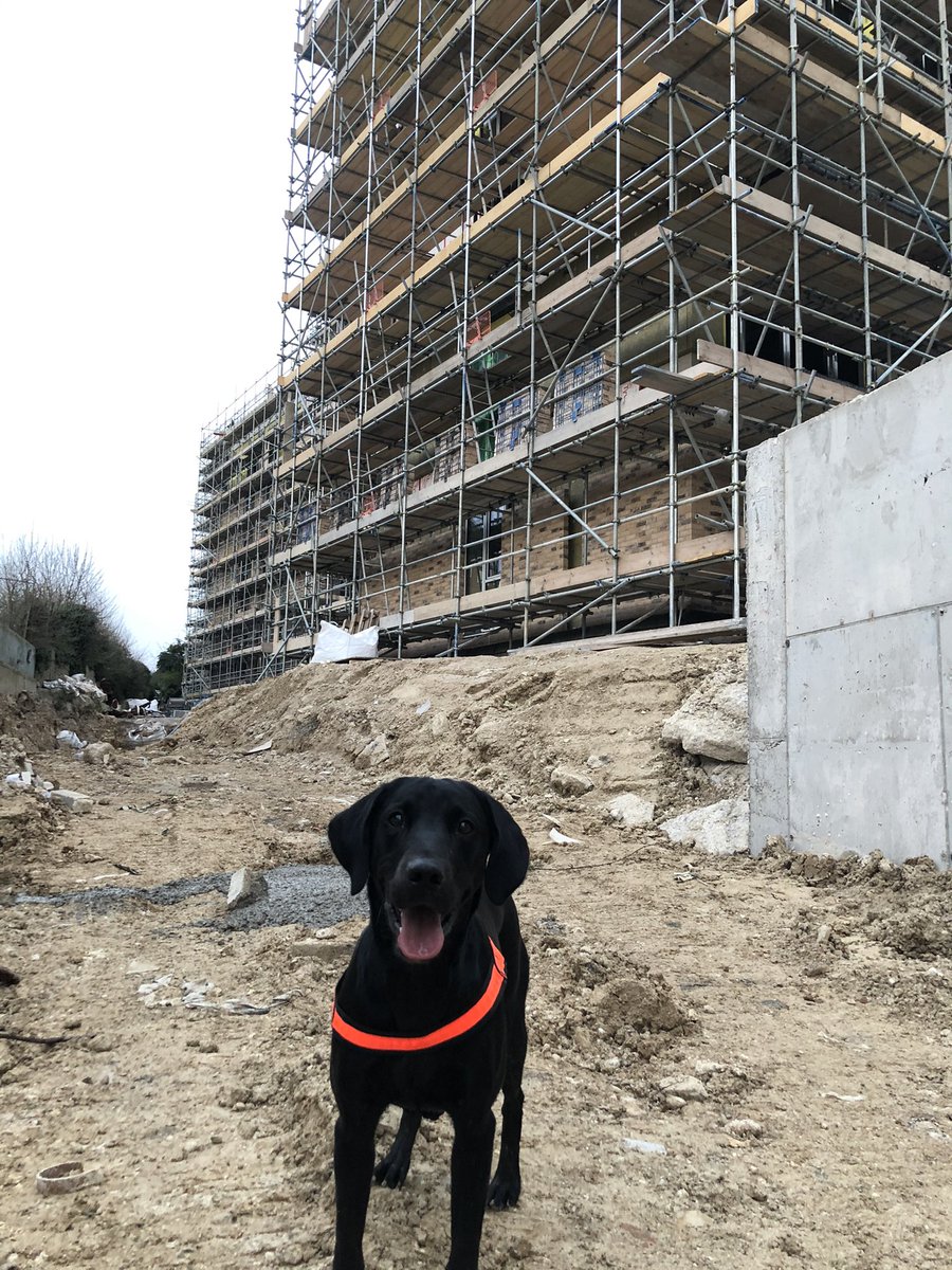 HertsFireDog's tweet photo. A late tea for us tonight as we’ve just got home from assisting with a #FireInvestigation in #Watford at a rather unusual location. #FireInvestigationDogs #SearchDog #DogsWithJobs https://t.co/XUXFpHnkAK