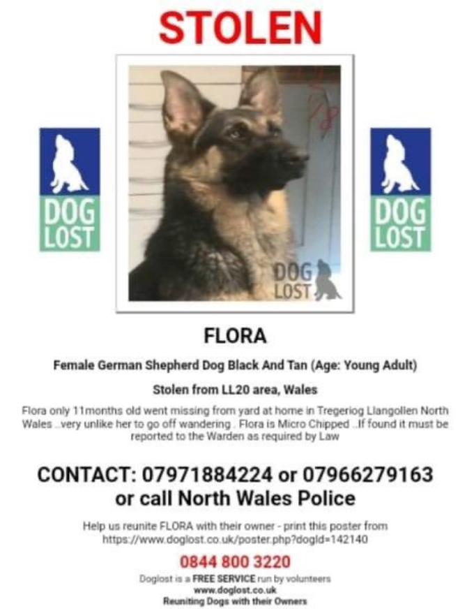 blacklab115's tweet photo. ๐๐๐31st March 2021 8pm-9pm #HelpFindFlora #missing since 2019,please join us & rt.๐๐๐ https://t.co/7VREK8UTOh