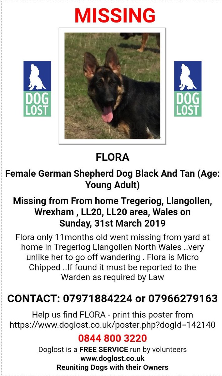 AlanDaffern's tweet photo. #HelpFindFlora #Stolen #GermanShepherd
Did you find #Flora
Has anyone offered her to you
Don't remain silent say something if you know something about Flora's whereabouts
#rehomehour https://t.co/yEAVqvUKaS