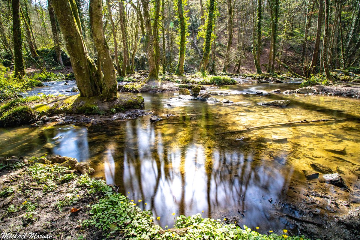 morvan_photo's tweet photo. Balade à La Brèche au Diable - La suite ! 🌞📸 #potigny #soumontsaintquentin #calvados #lelaizon #bassenormandie #normandie #poselongue #labrècheaudiable #cascade https://t.co/z54Phio0j3