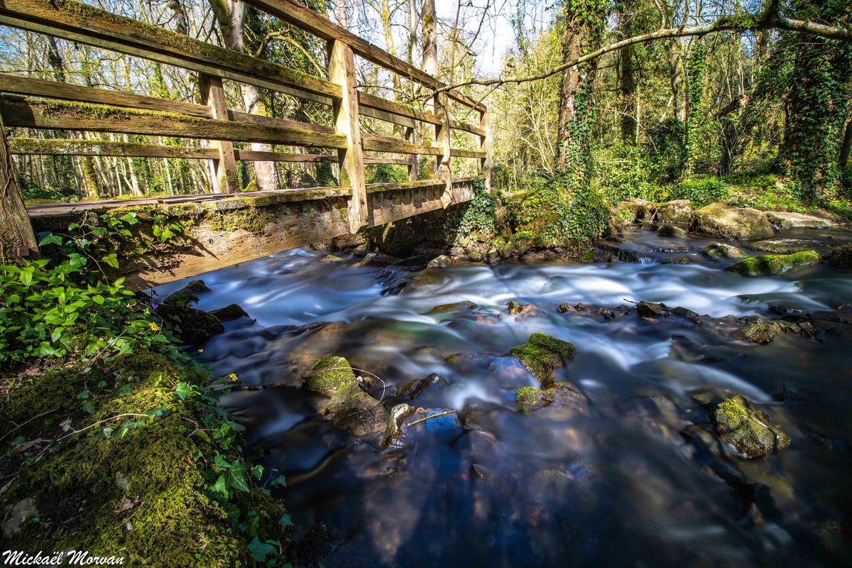 morvan_photo's tweet photo. Balade à La Brèche au Diable - La suite ! 🌞📸 #potigny #soumontsaintquentin #calvados #lelaizon #bassenormandie #normandie #poselongue #labrècheaudiable #cascade https://t.co/z54Phio0j3