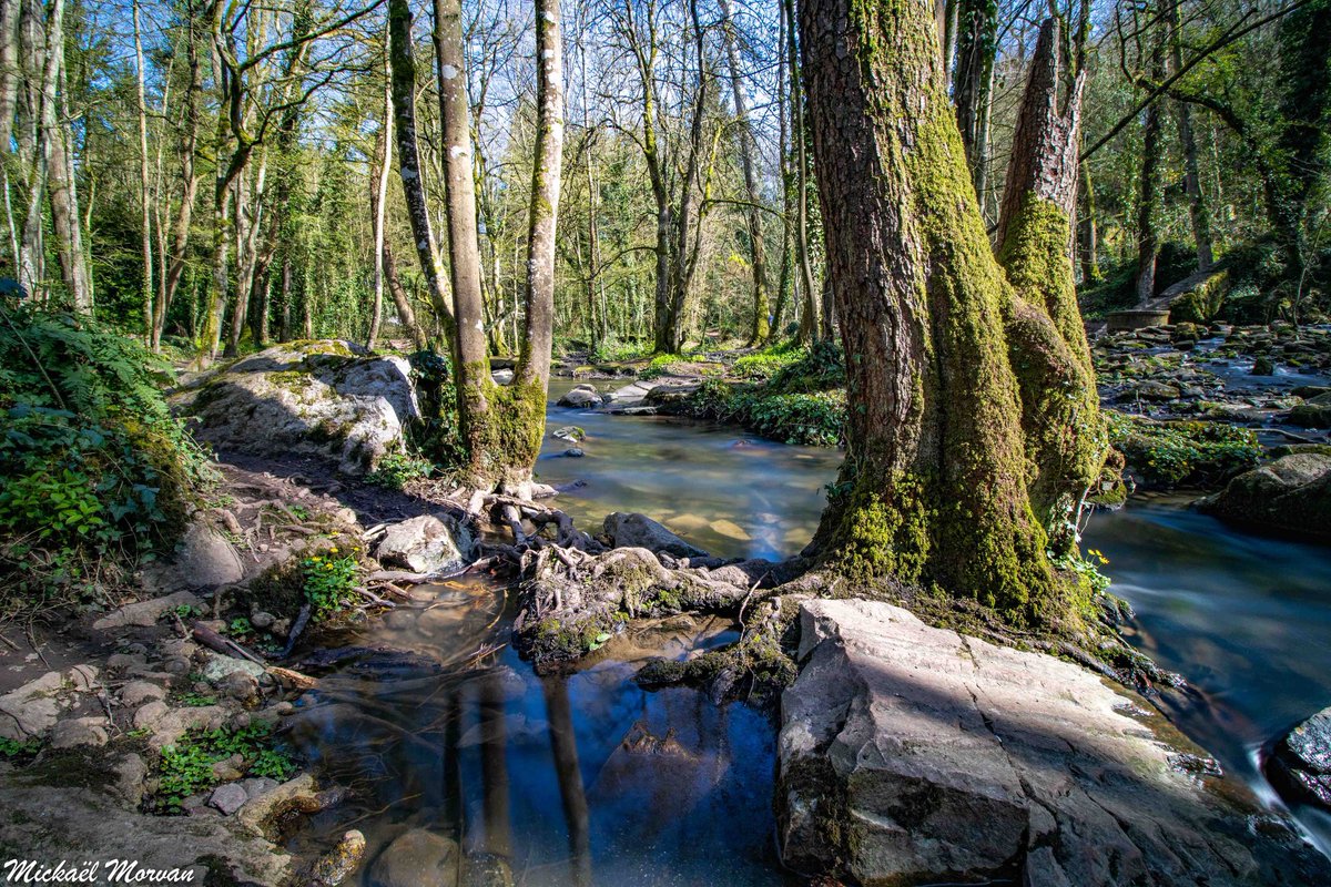 morvan_photo's tweet photo. Balade à La Brèche au Diable - La suite ! 🌞📸 #potigny #soumontsaintquentin #calvados #lelaizon #bassenormandie #normandie #poselongue #labrècheaudiable #cascade https://t.co/z54Phio0j3