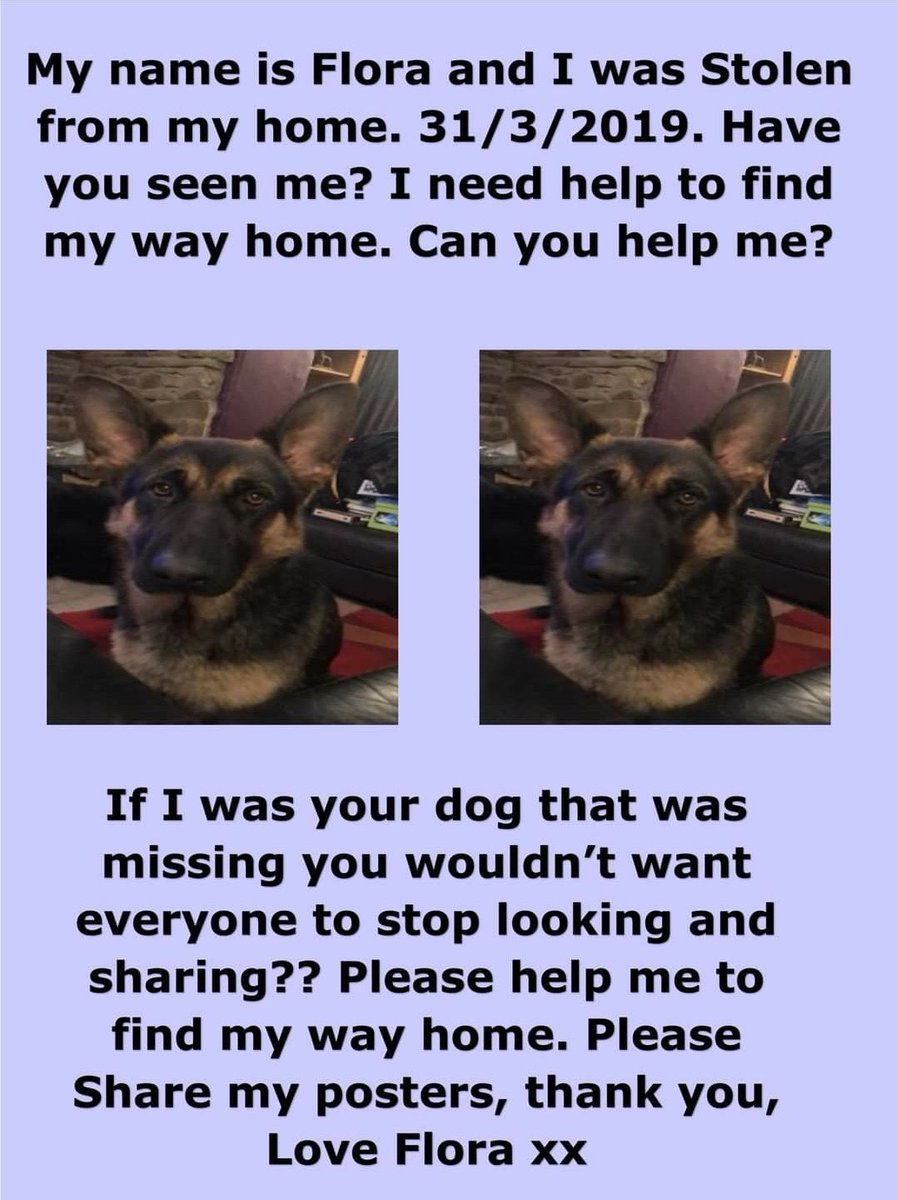 rosiedoc666's tweet photo. #HelpFindFlora
FIRST POST ON HER SPECIAL GROUP
โOur girl was 11 months old when she was taken away from her family home early morning on 31/3/19, pls help her find her way back .
Susbstantial reward offered for her safe return
https://t.co/XPKMQCsH10 https://t.co/lMcf8dpPeI