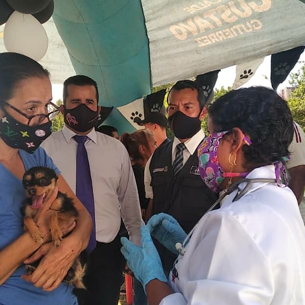 FNevadoCarabobo's tweet photo. 📍 DESDE EL ESTADO CARABOBO 12/01/2021
Celebrando el 7MO Aniversario de la Misión Nevado.

- Primer Aniversario de nuestro consultorio en el Municipio Naguanagua.

✅ Fueron atendidos 385 animales de compañía 

#LaCapacidadDeAmarEsInfinita 
#Carabobo 
#MisiónNevado
#12ENERO2021 https://t.co/7GIvTod6RN