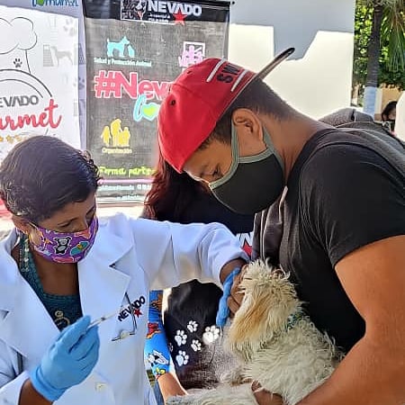 FNevadoCarabobo's tweet photo. 📍 DESDE EL ESTADO CARABOBO 12/01/2021
Celebrando el 7MO Aniversario de la Misión Nevado.

- Primer Aniversario de nuestro consultorio en el Municipio Naguanagua.

✅ Fueron atendidos 385 animales de compañía 

#LaCapacidadDeAmarEsInfinita 
#Carabobo 
#MisiónNevado
#12ENERO2021 https://t.co/7GIvTod6RN