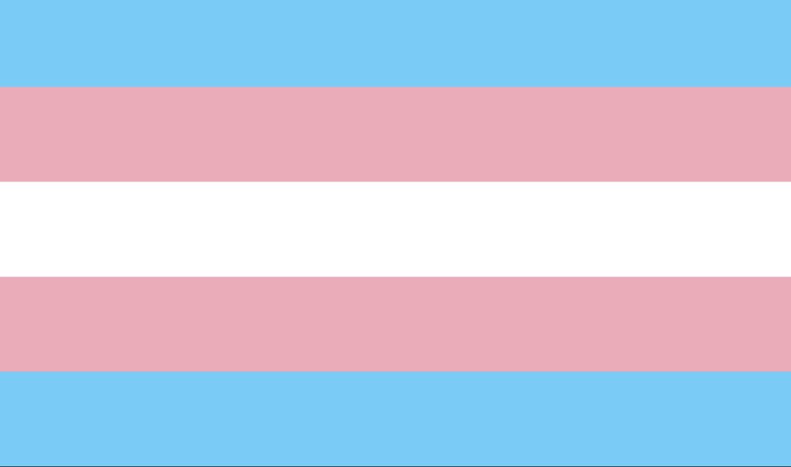 Not just today but everyday, Trans rights are human rights. #TransDayOfVisibility