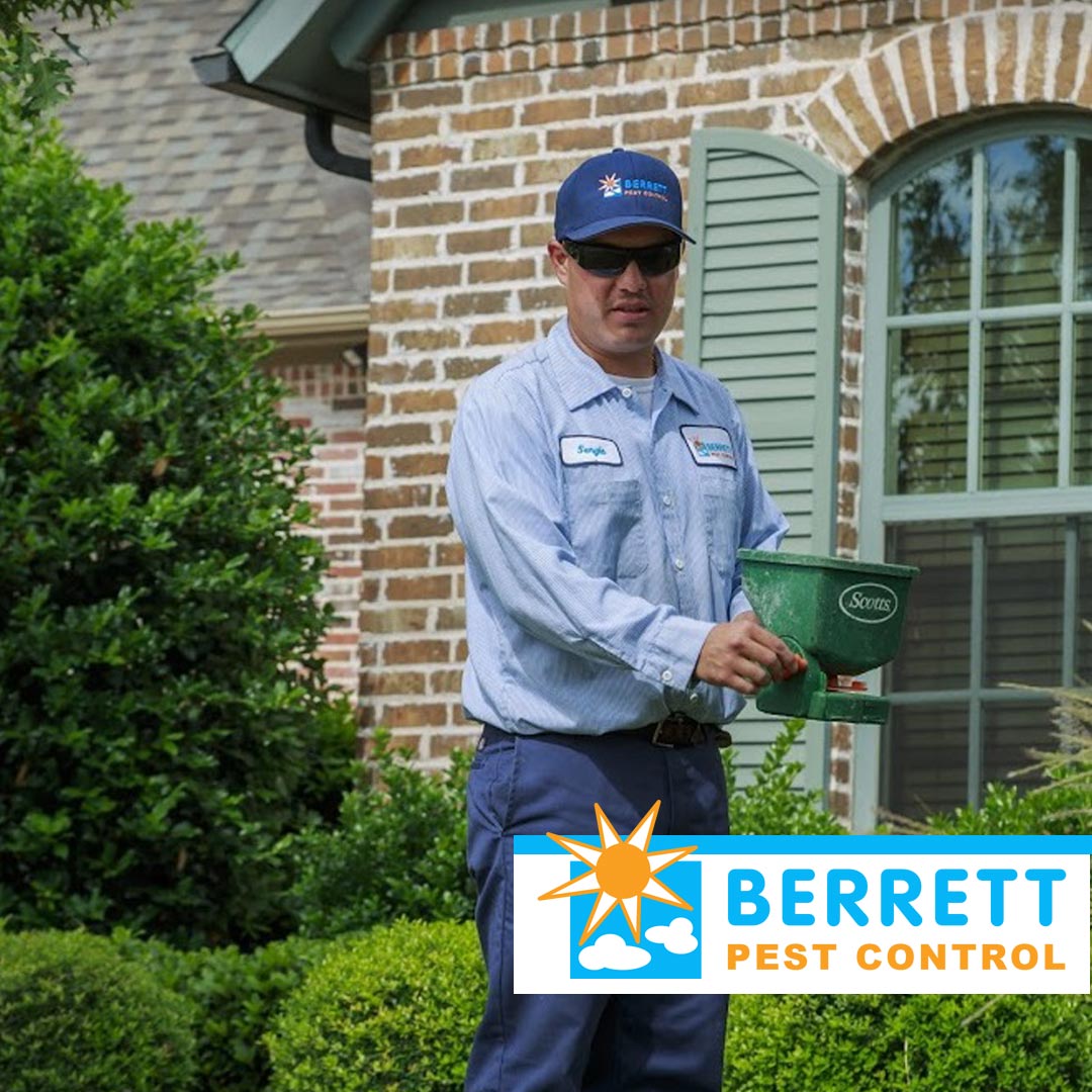 BestPestDallas's tweet photo. -------Berrett Pest Control Dallas TX-----

Berrett Pest Control from $99. Serving Dallas and Fort Worth TX Call 214-242-4800 or Visit: https://t.co/KS4sVgKdcu

#dfwpestcontrol #dallaspestcontrol https://t.co/X7KPXnLpHz