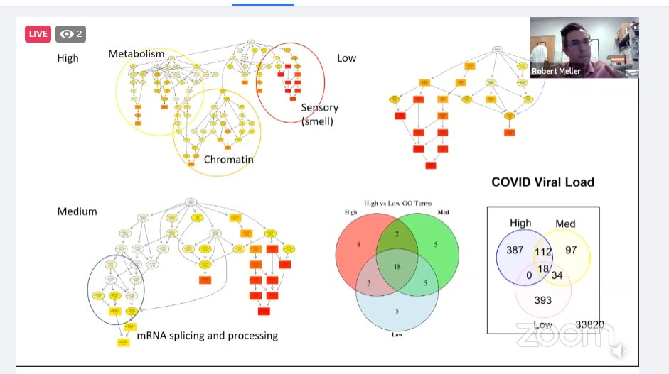 Dr. Robert Meller (<a href="/strokelab/">Meller Lab</a>) presenting on transcriptomic data that identifies the severity of infection of SARS-CoV-2 and other pathogens. suggests using a panel of genes instead of a single one #covirt2021 #COVID19