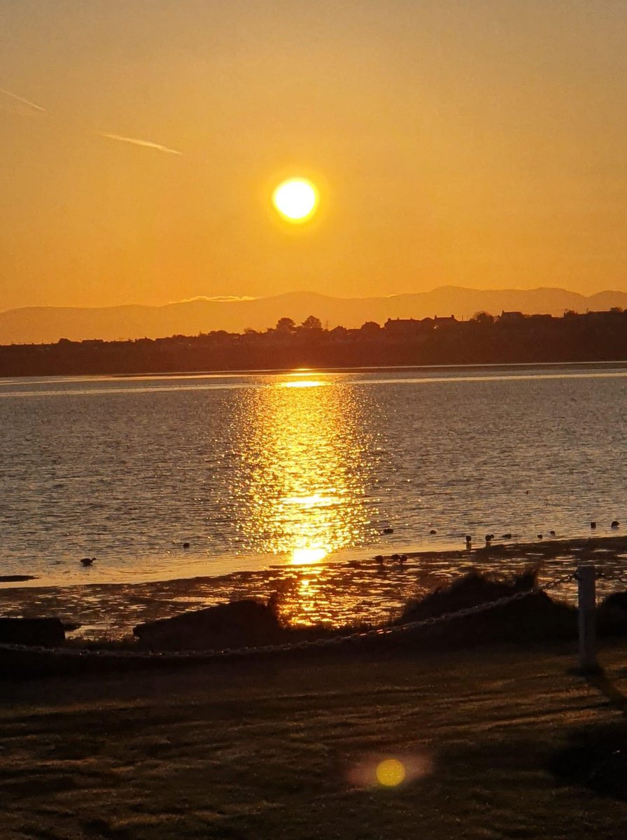 PenrhosSave's tweet photo. Penrhos Nature Park is situated on the beautiful coastline of Holyhead, #Anglesey. The park is home to may rare species of #flora and #fauna. It is also the home to a stronghold of #RED_SQUIRRELS amongst many, many other species. Yet it is at risk from developers. 
#philanthropy https://t.co/FtFef2IhPk