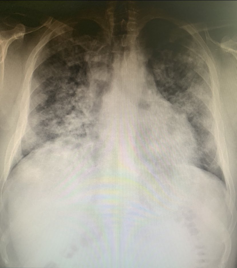 Jorge_G_Criado tweet media